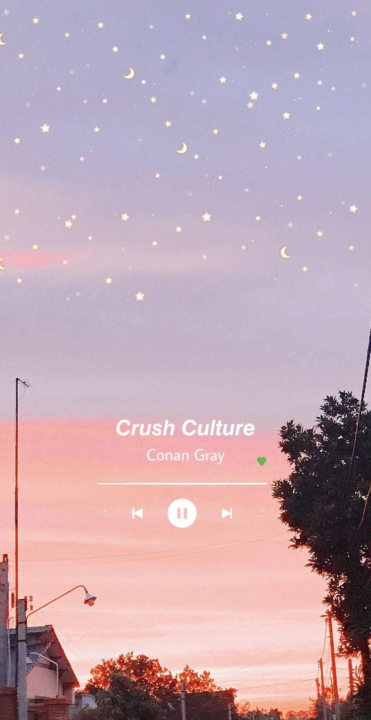 Aesthetic Music Of Crush Culture By Conan Gray Wallpaper