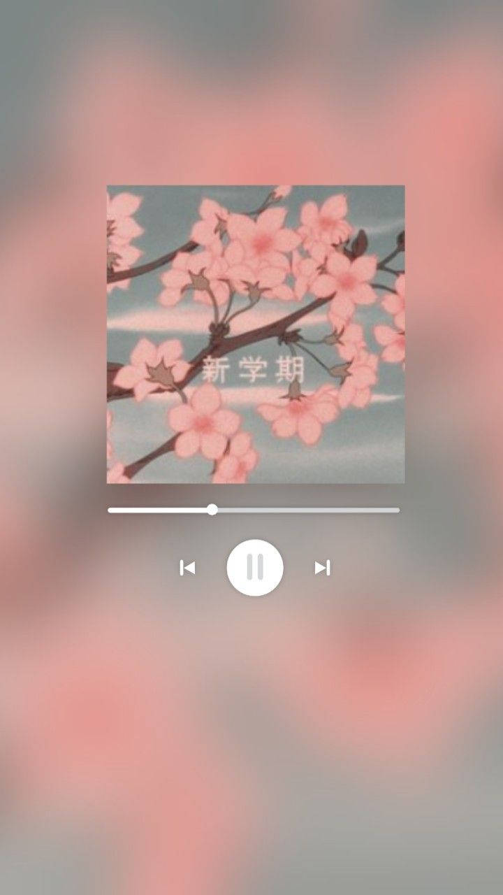 Aesthetic Music Player And Cherry Blossoms Wallpaper