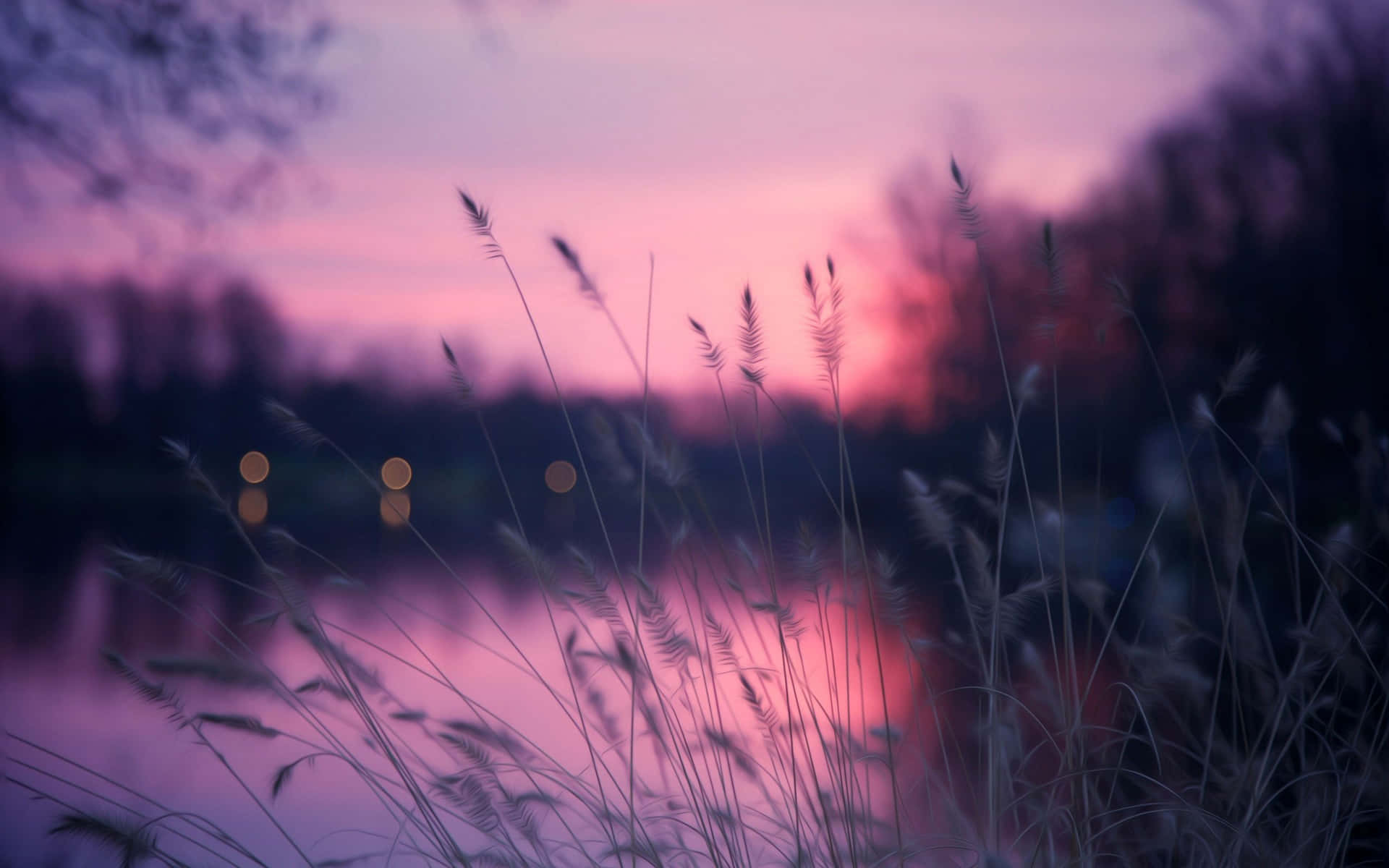 A Purple Sunset With Tall Grass And Water Wallpaper