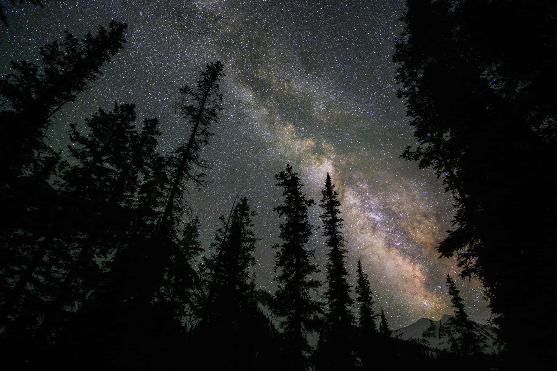 Milchstraßeleuchtet Hell Über Bezauberndem Nachthimmel.