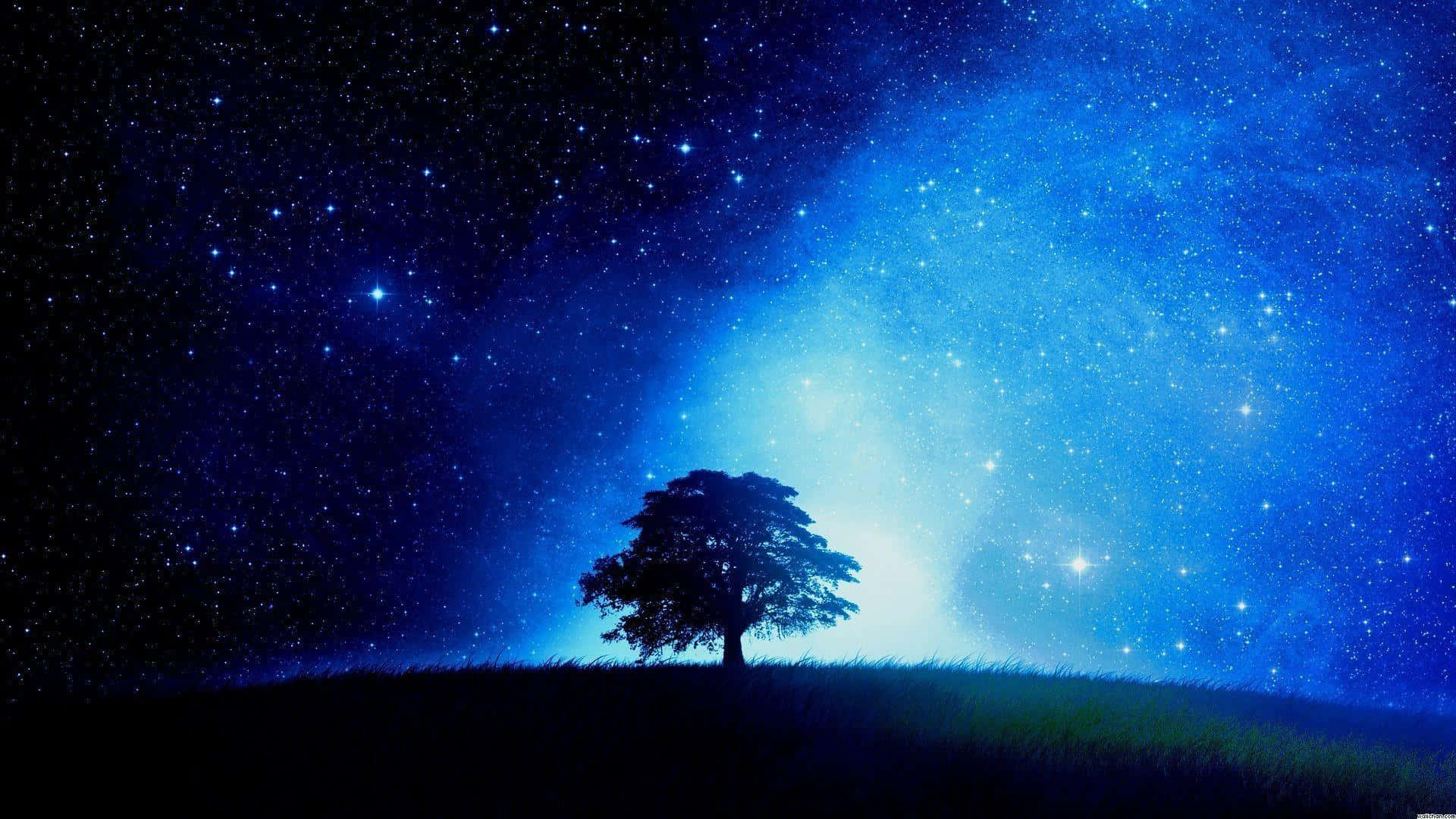 Find beauty within the night sky