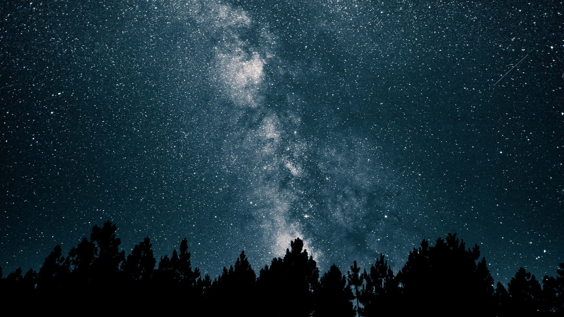 Embrace the stillness of the night sky