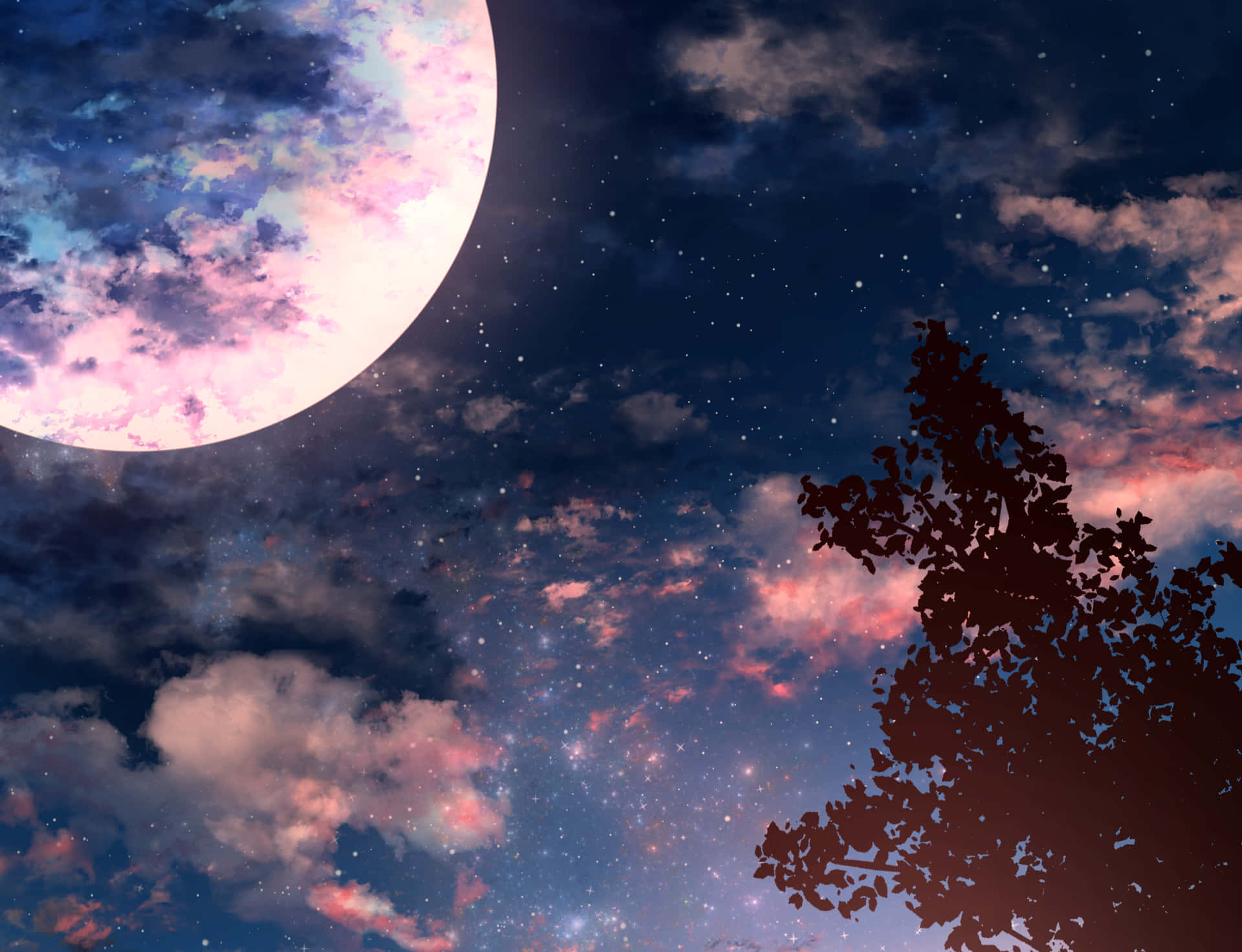 Disfrutandode La Deslumbrante Belleza Del Estético Cielo Nocturno. Fondo de pantalla
