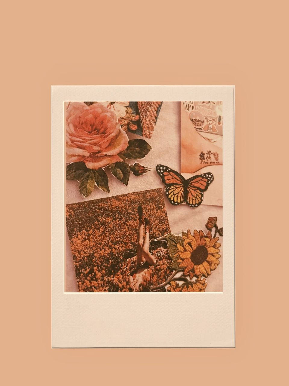 Ästhetischerorangefarbener Schmetterling In Collage Wallpaper