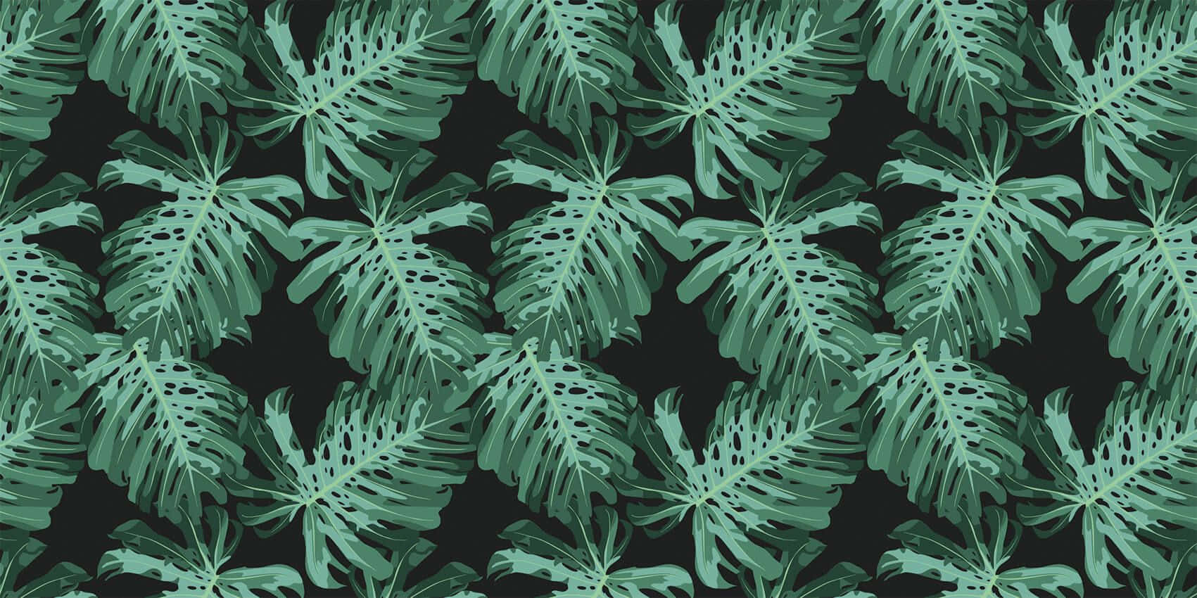 En naturlig oase med en tropisk stemning af æstetiske palmeblade. Wallpaper