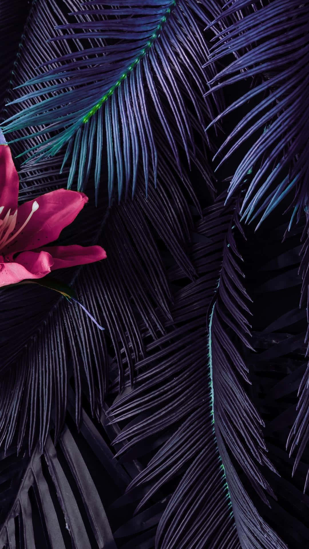En tropisk paradis af æstetisk designet palmeblade. Wallpaper