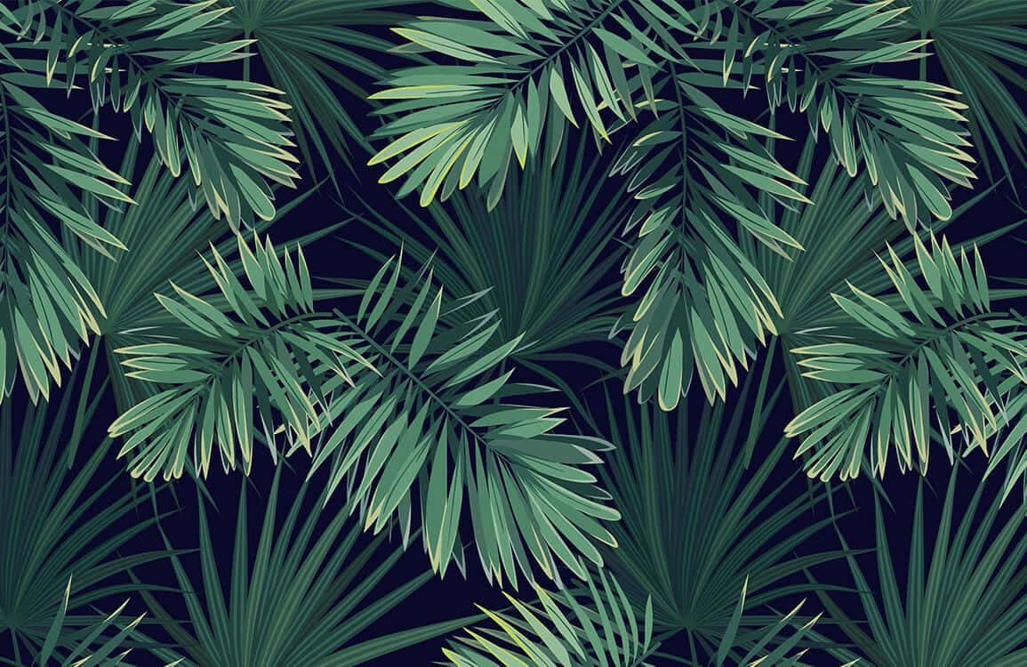 Palm leaves in soft sunlight Wallpaper