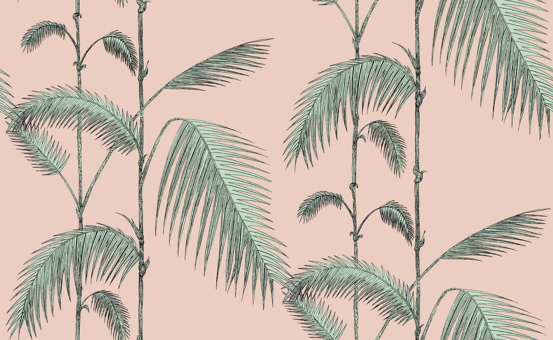 Aesthetic Palm Leaves Plain Art Wallpaper