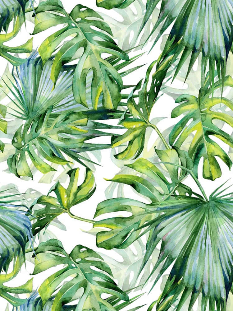 A Watercolor Painting Of Tropical Leaves Wallpaper