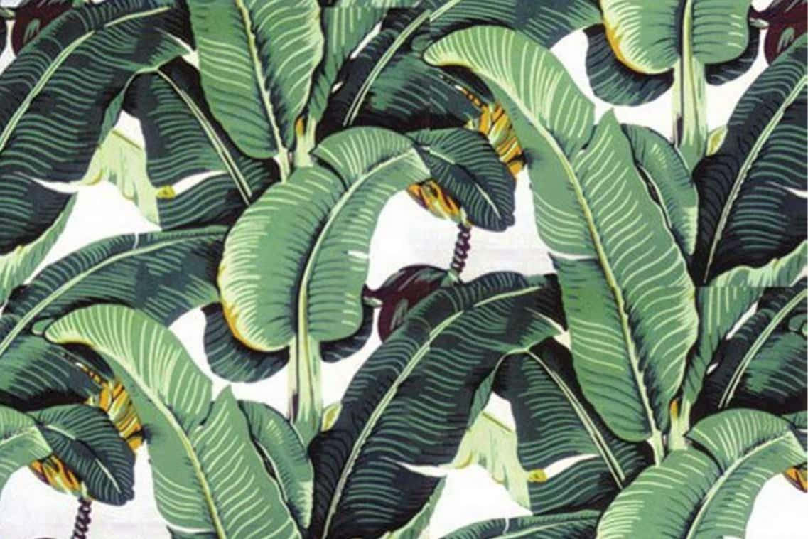 Føl varmen af ​​sommer med disse smukke æstetiske palmeblade Wallpaper