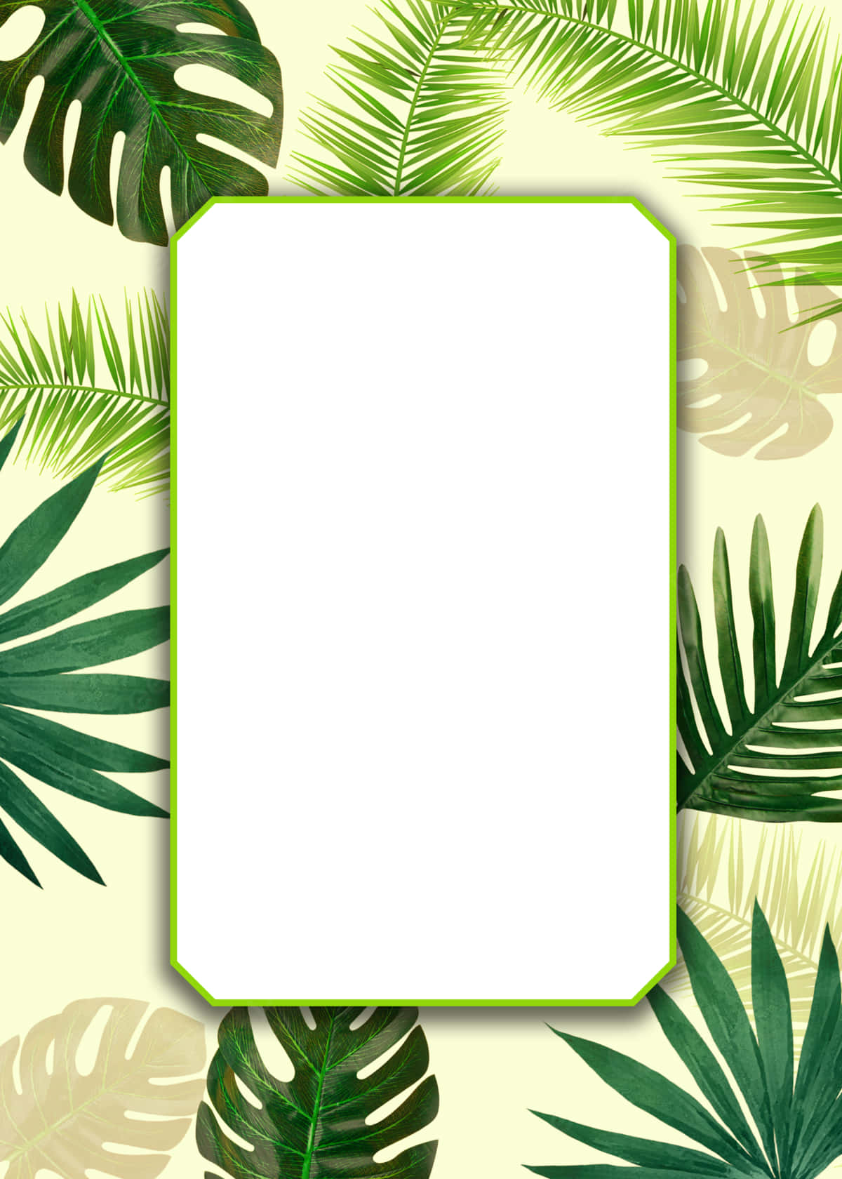 "Aesthetic view of tropical palm leaves on a white background" Wallpaper