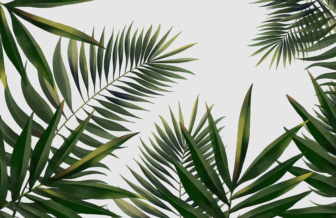 Relax and Recharge with Aesthetic Palm Leaves Wallpaper