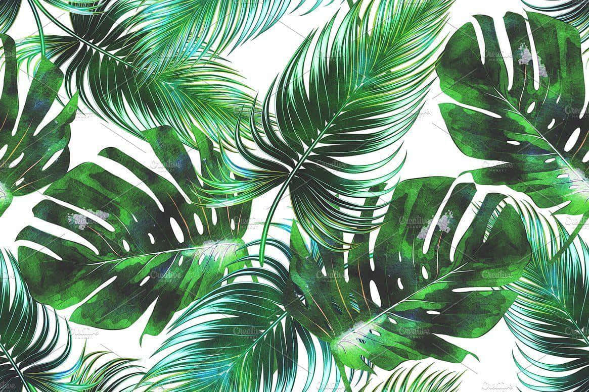Tropical Leaves Seamless Pattern Wallpaper