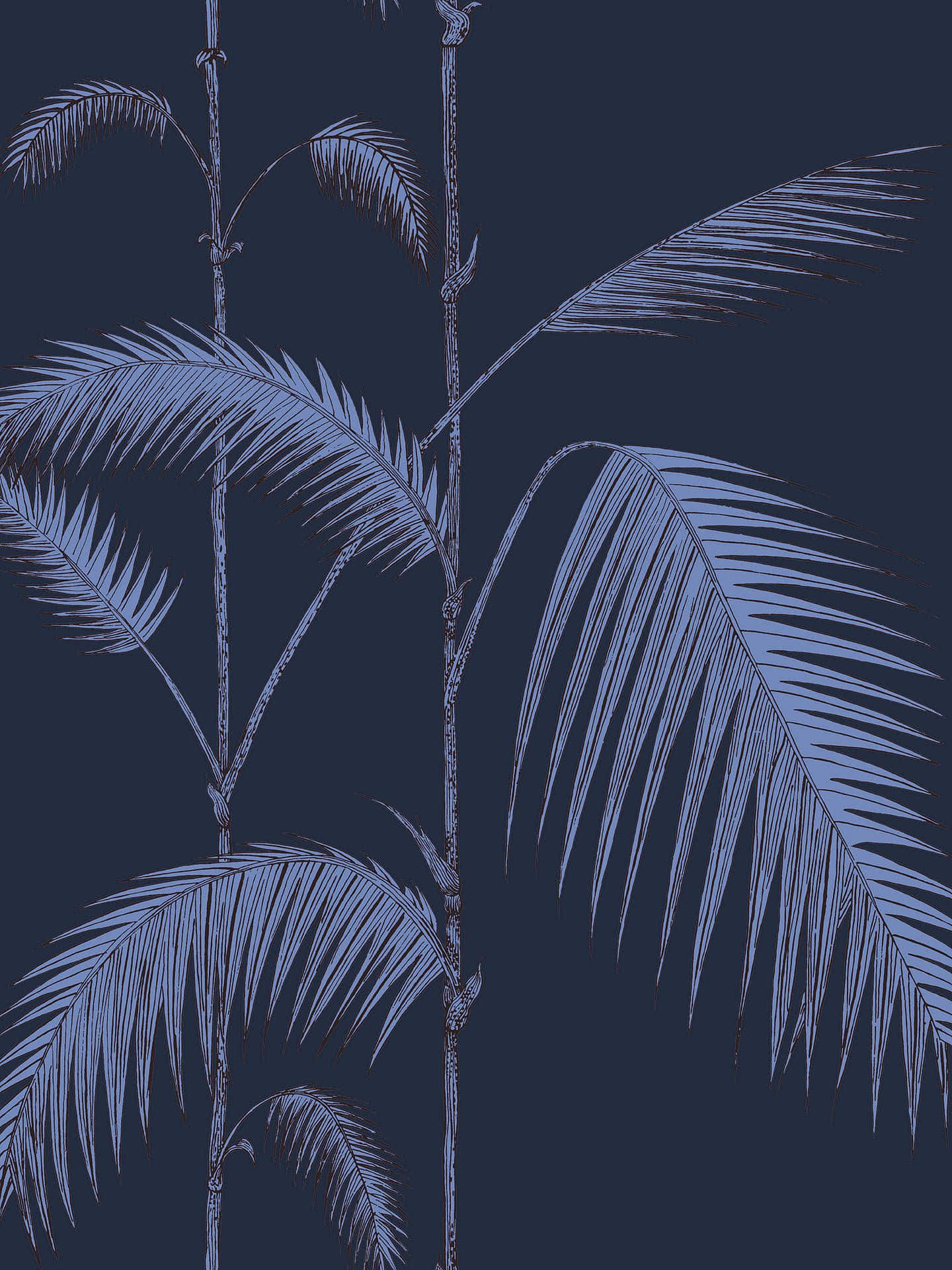 Aesthetic Palm Leaves Dark Art Wallpaper