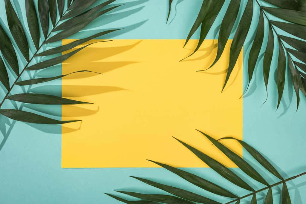 Aesthetic Palm Leaves With Yellow Square Wallpaper