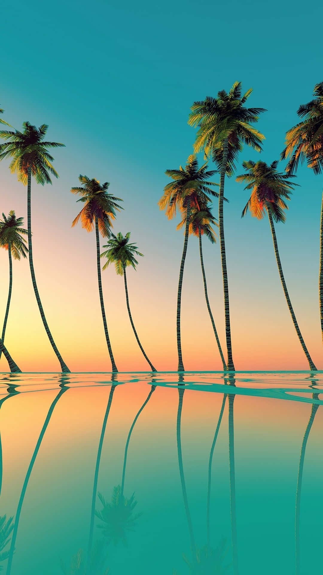En stor æstetisk palme med en vibrante orange solnedgang. Wallpaper