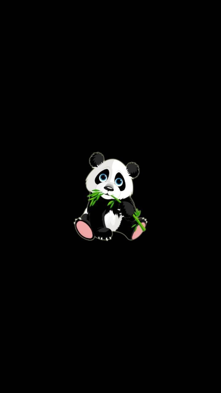 Aesthetic Panda Eating Bamboo Wallpaper