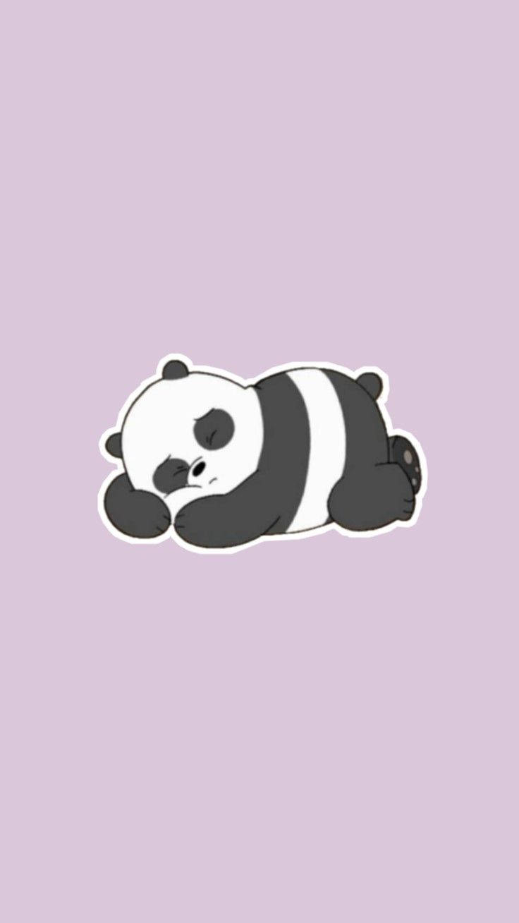 Aesthetic Panda Sleeping Wallpaper