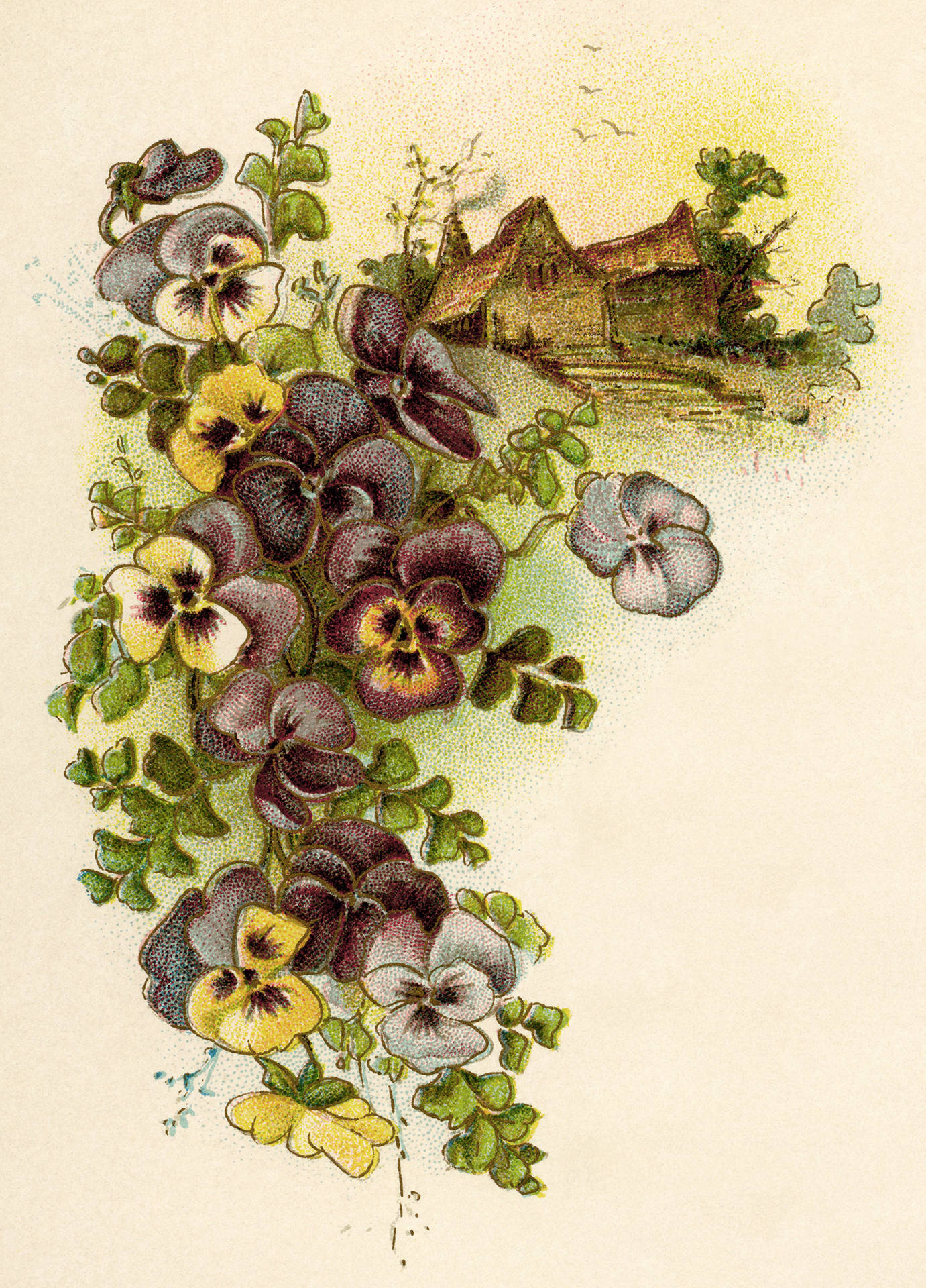 Aesthetic Pansy Watercolor Painting Wallpaper