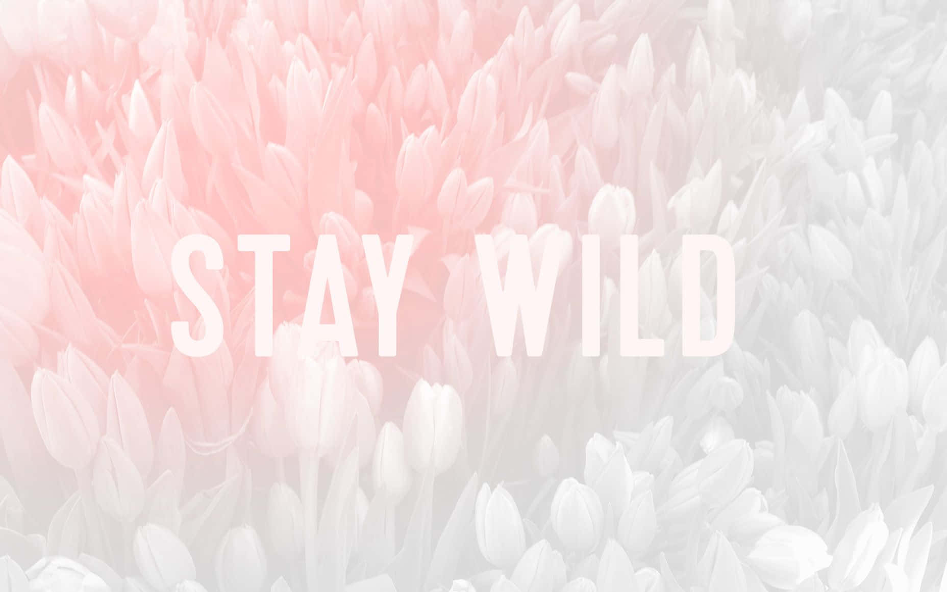 Aesthetic Pastel Motivational Quote Background