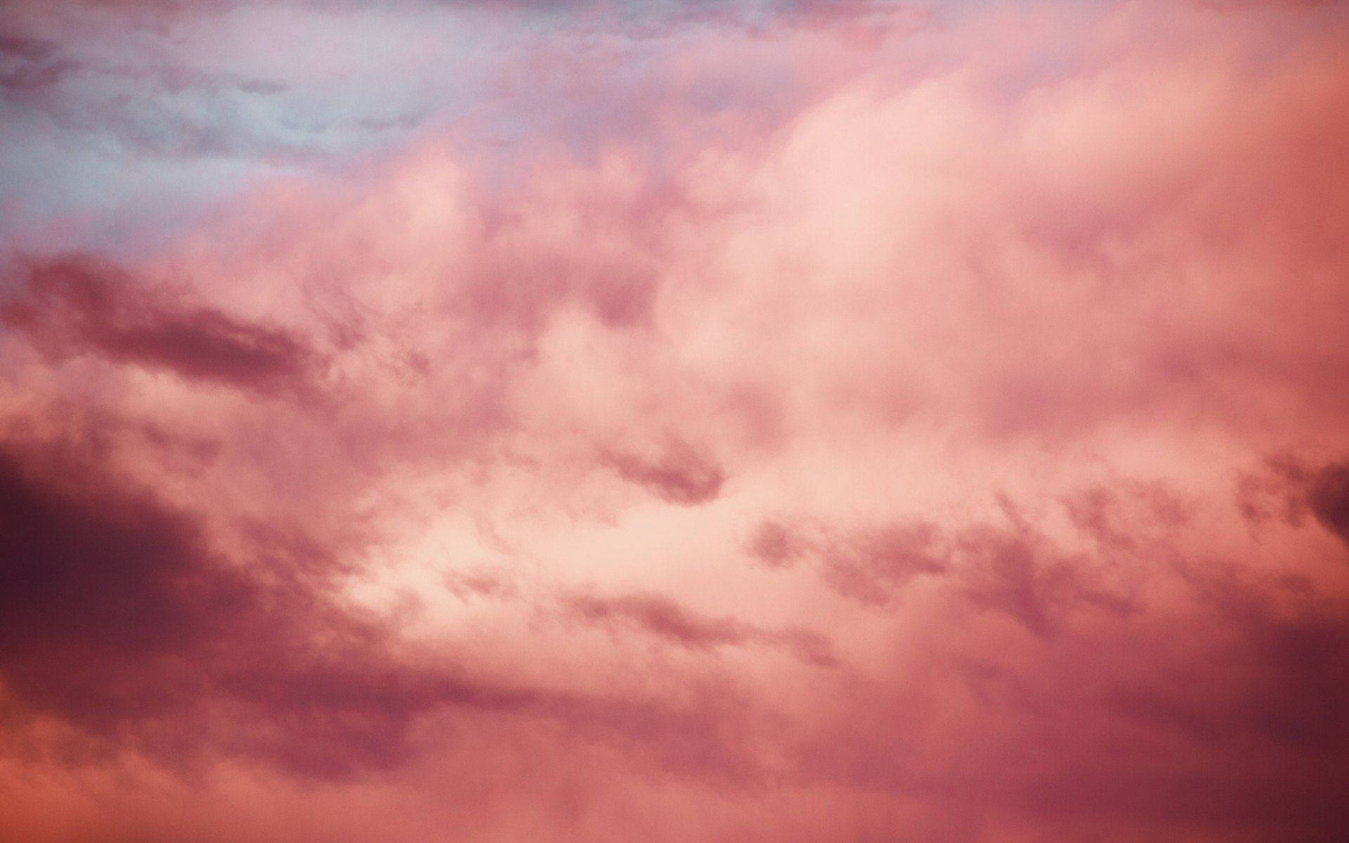 Majestic pink clouds illuminated by a soothing sunset Wallpaper