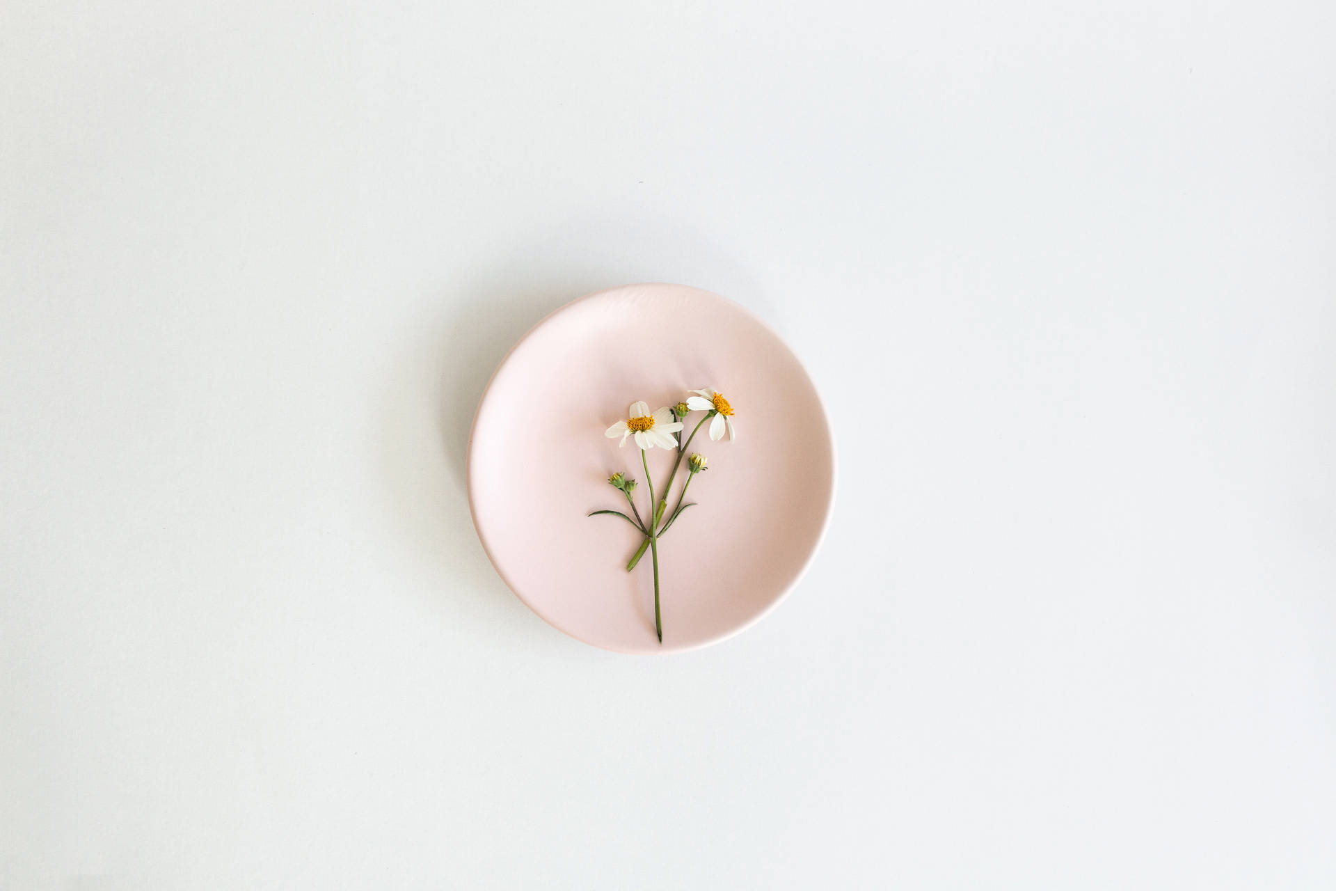 Aesthetic Pink Desktop Plate And Flower
