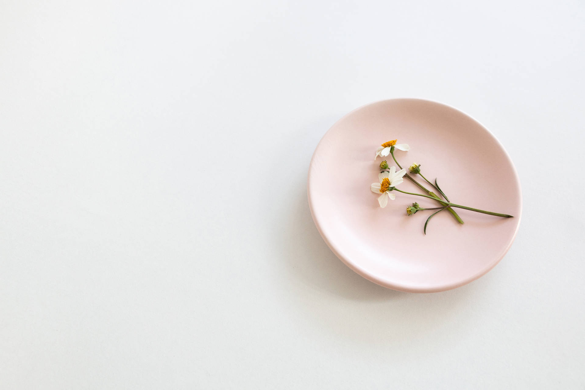 Aesthetic Pink Desktop Plate And Flowers