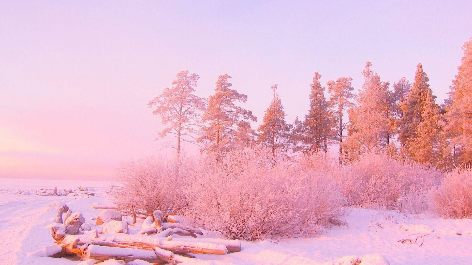 Aesthetic Pink Forest Wallpaper