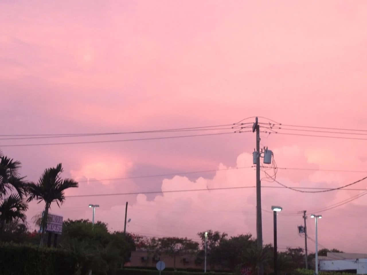 In an Aesthetic Pink World