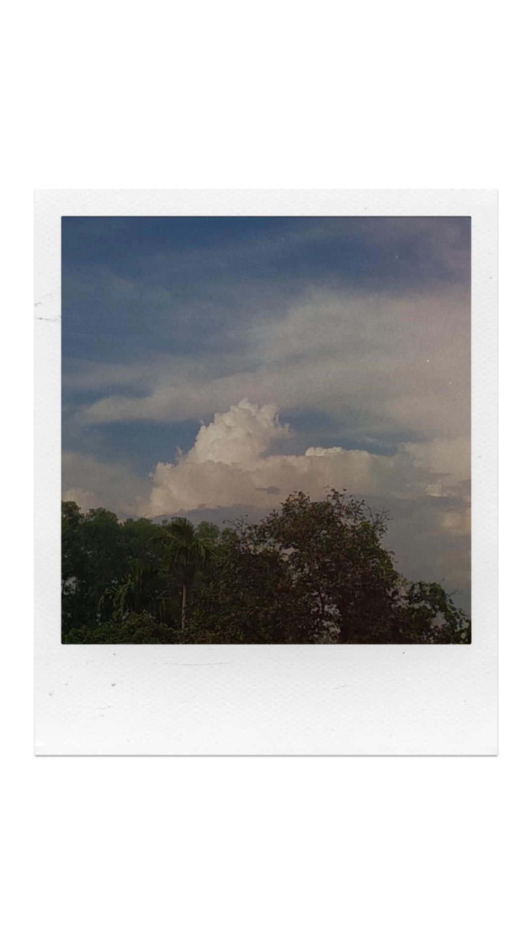 Polaroidcielo Nuvoloso
