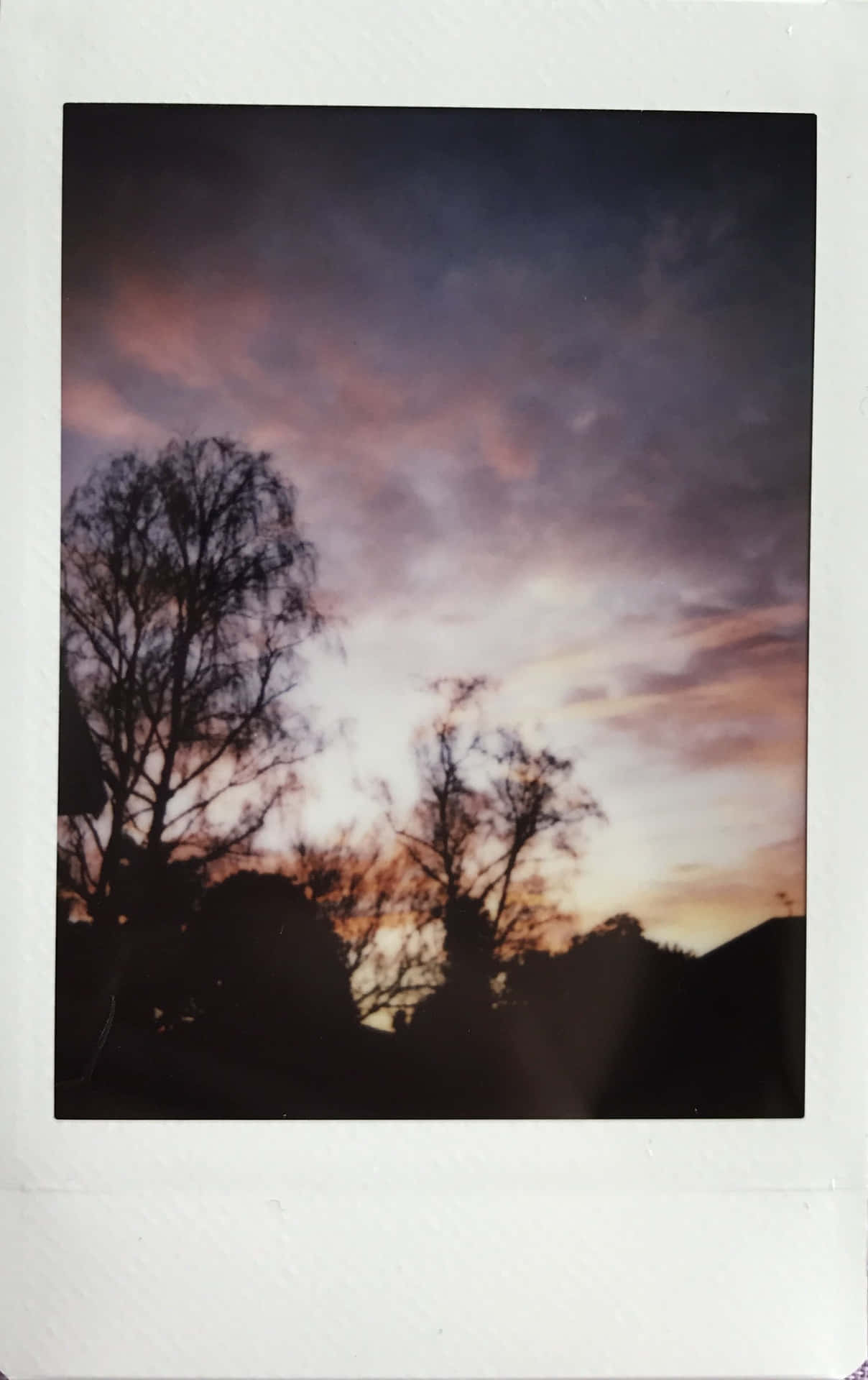 Capture Your Moments with Aesthetic Polaroid Photography