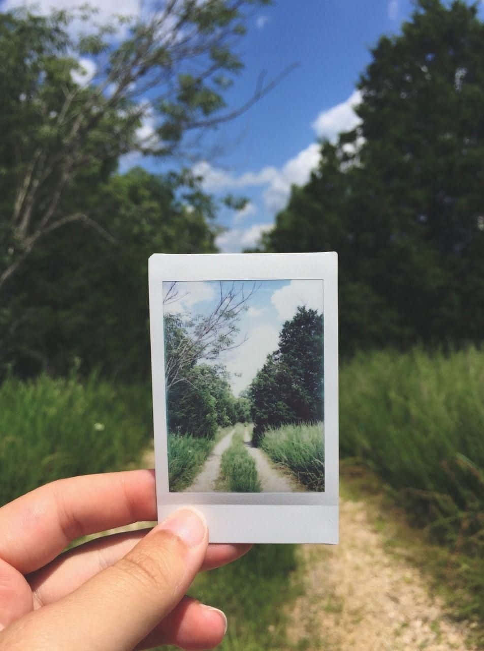 Capture memories with an aesthetic Polaroid.