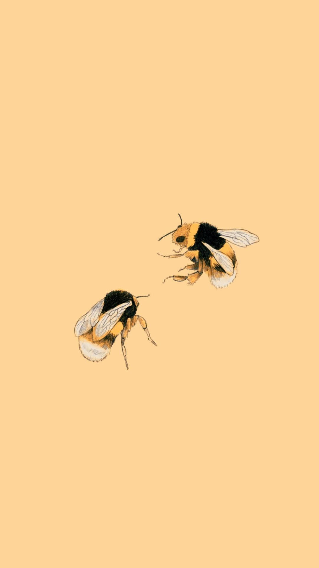 Aesthetic Profile Bees Wallpaper