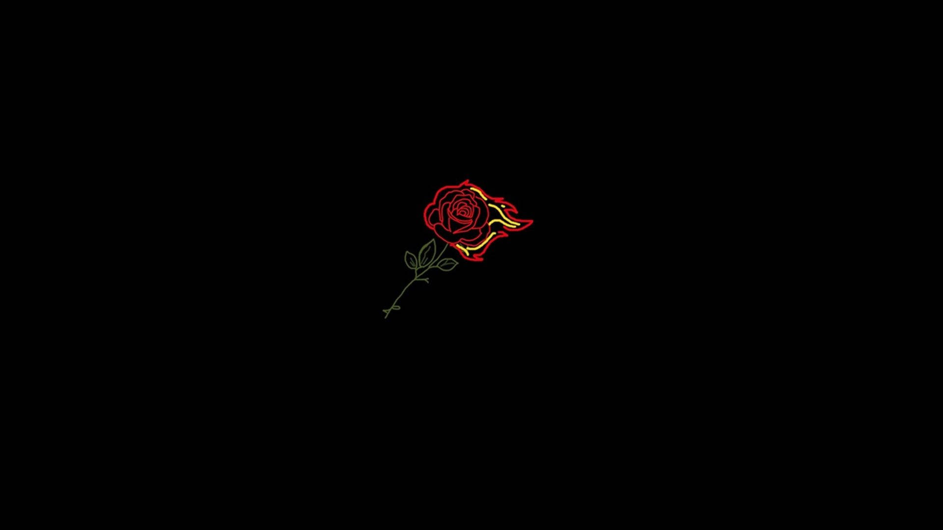 Aesthetic Profile Picture Of Red Rose Background