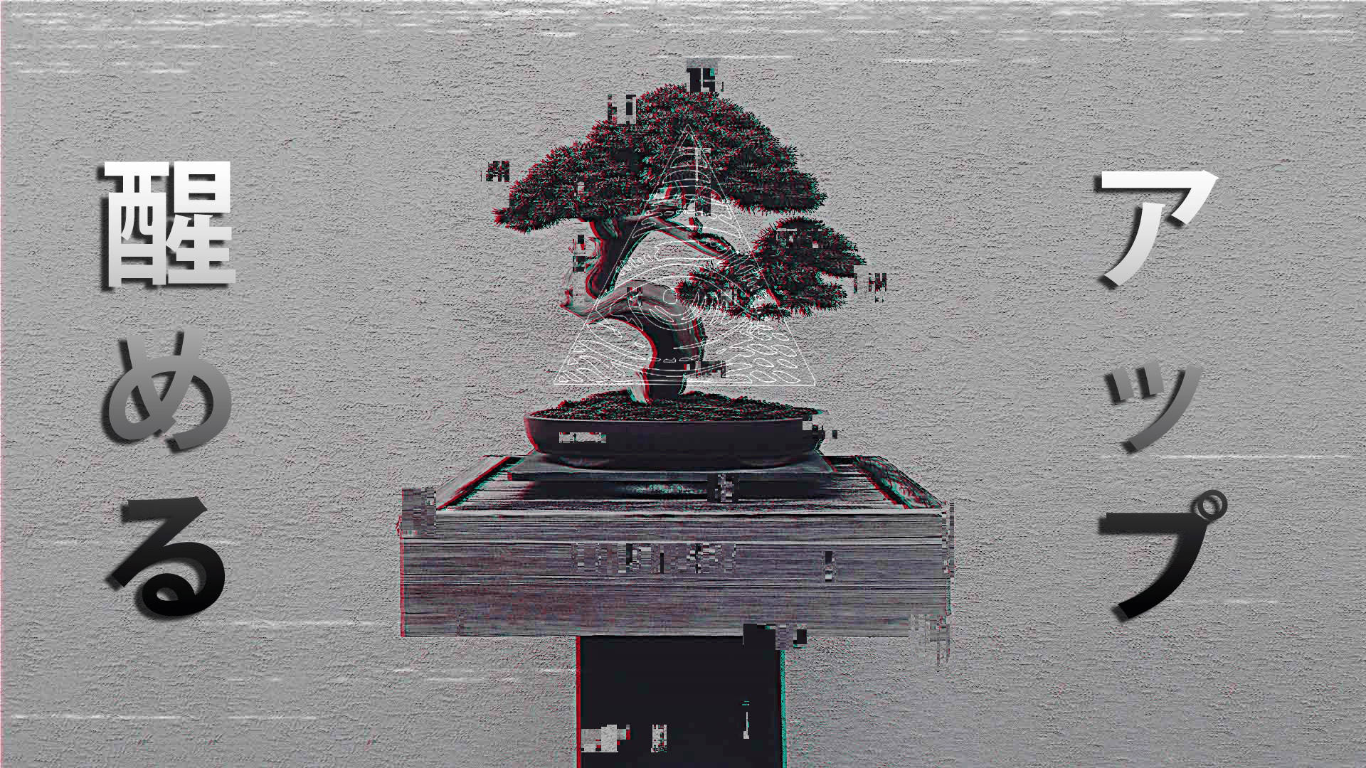 Aesthetic Profile Pictures Bonsai Background