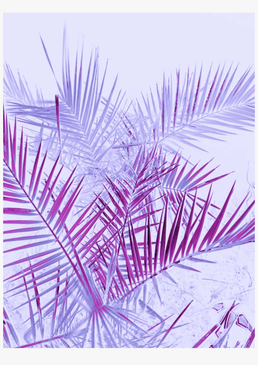Palm Branches Bright Aesthetic Purple Background