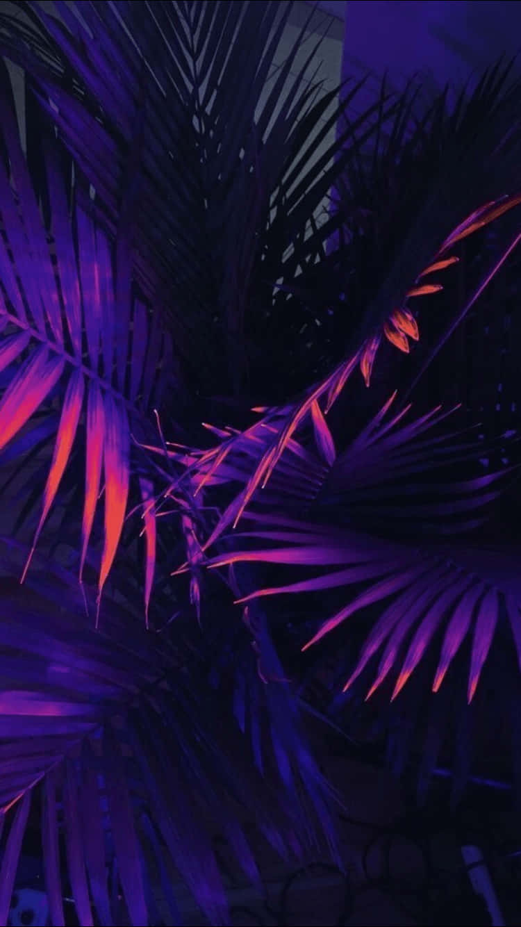 Neon Palm Plant Aesthetic Purple Background
