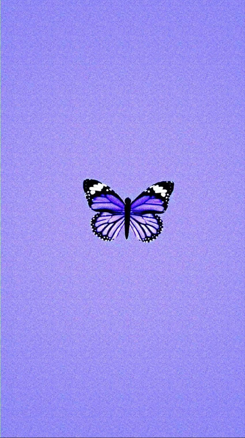 Minimalist Aesthetic Purple Butterfly Background