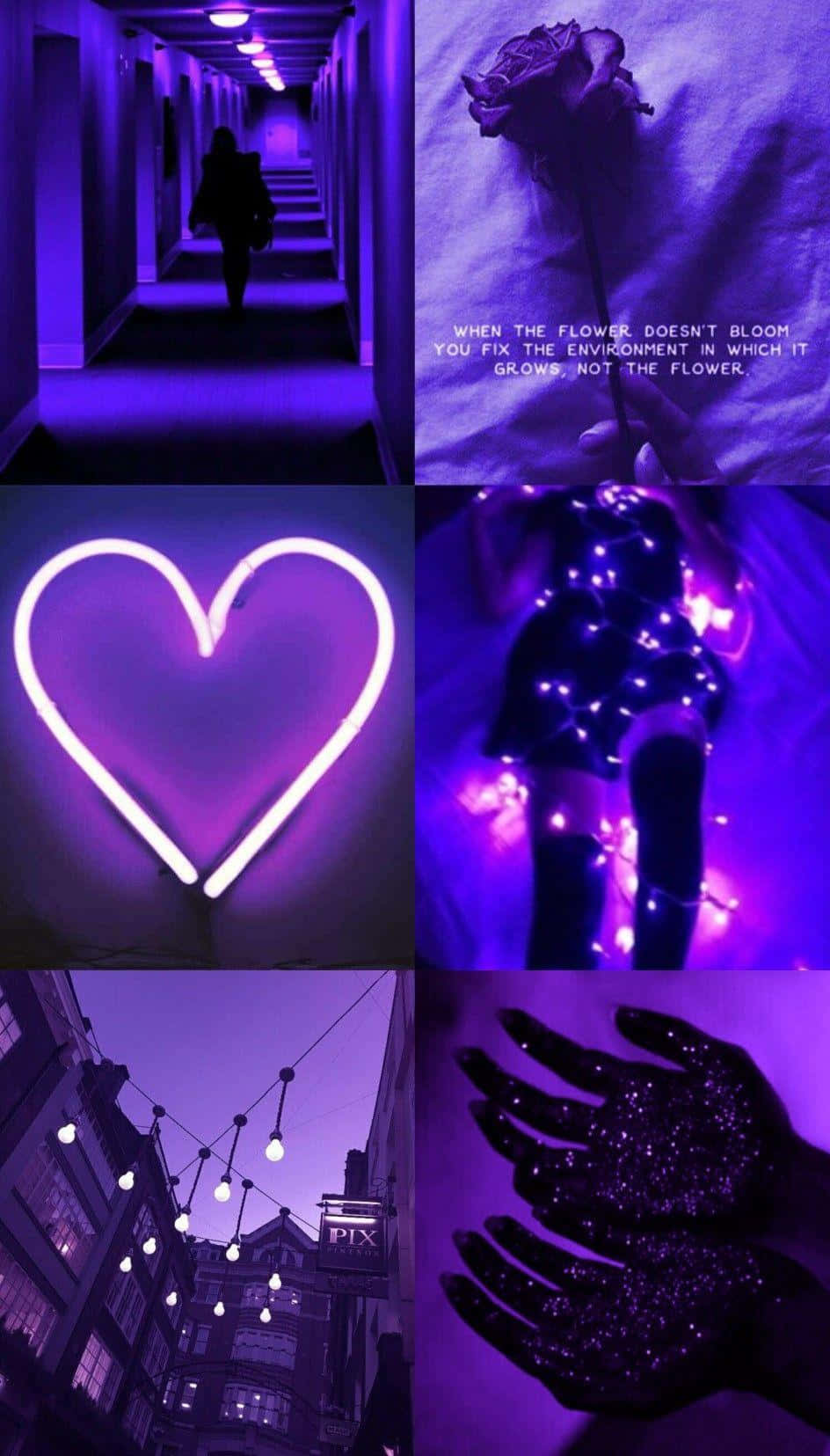 A Collage Of Pictures With Purple Lights And Hearts Wallpaper