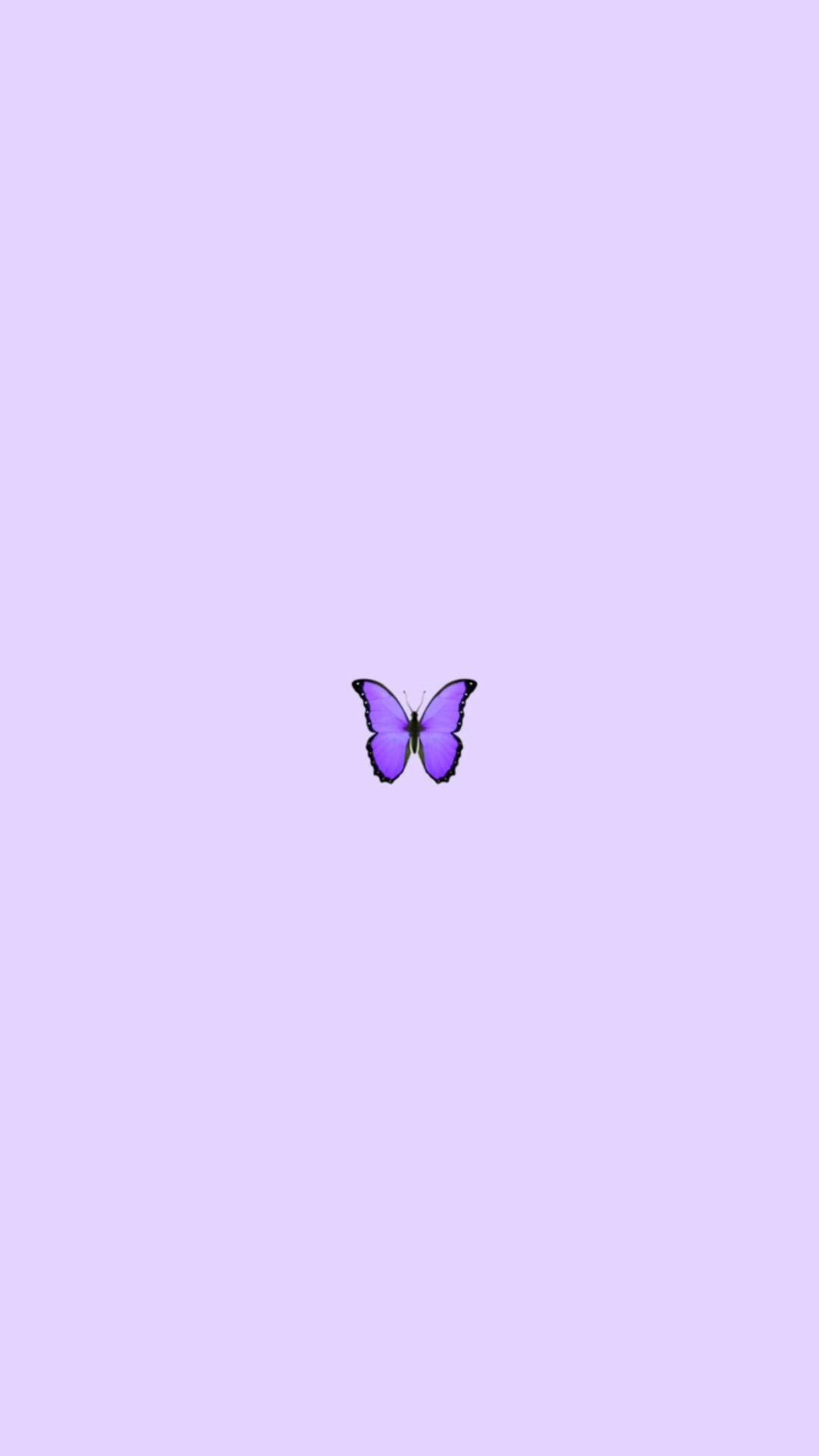 Aesthetic Purple Butterfly Phone Background Wallpaper
