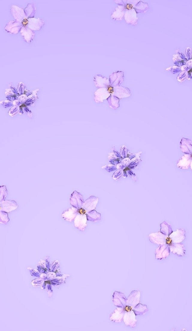 An Elegant Aesthetic Purple Flower Wallpaper