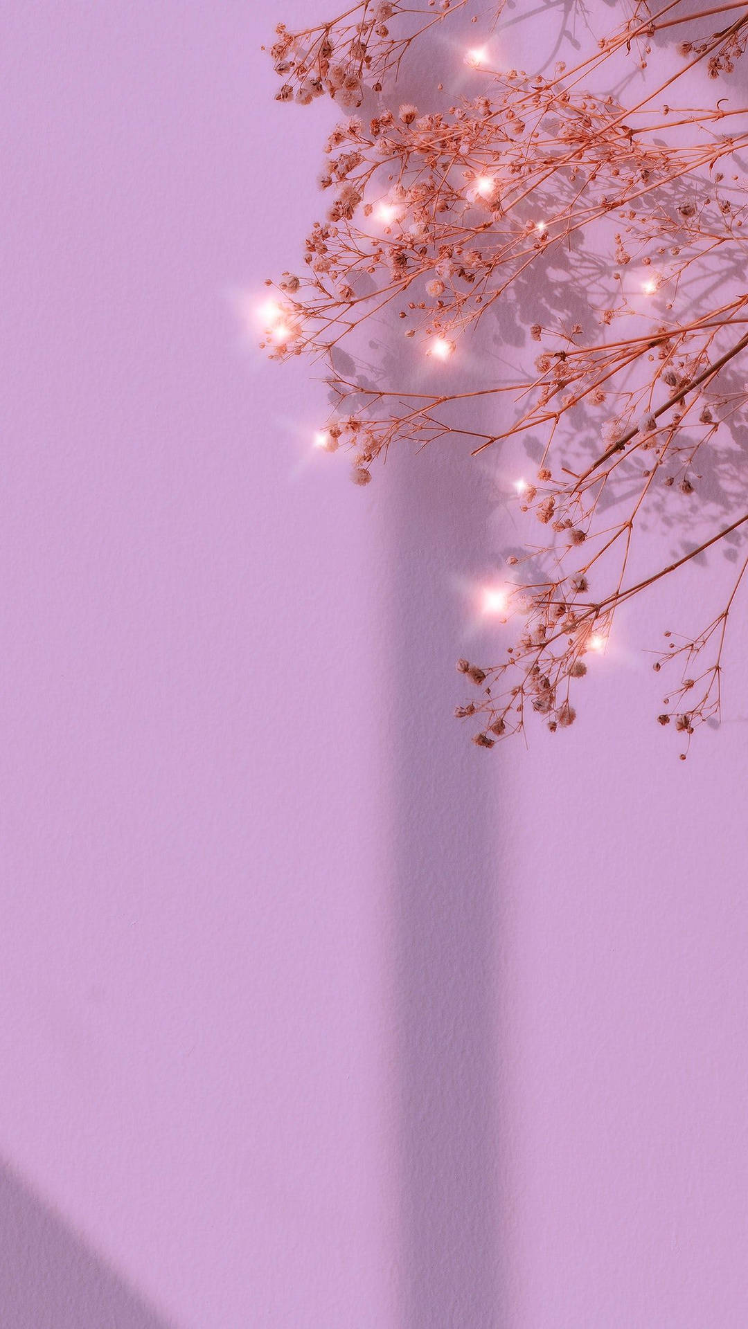 A Tree With A Pink Wall Wallpaper