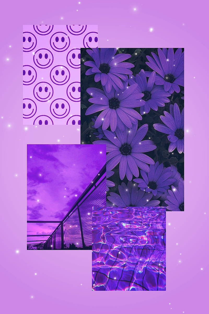 Aesthetic Purple Flower Photo Collage Wallpaper