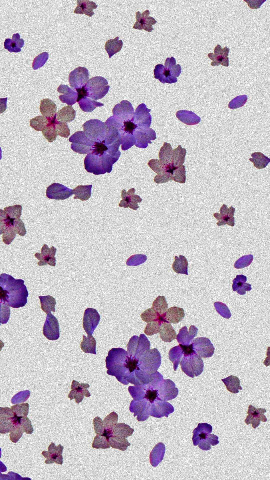 An Aesthetic Purple Flower in Bloom Wallpaper