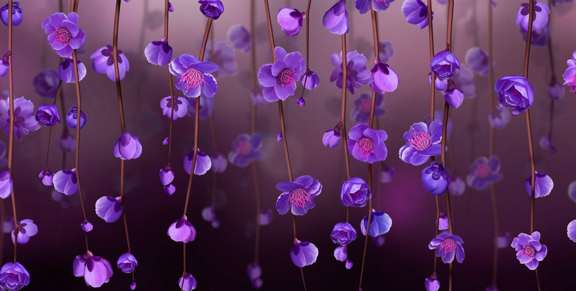Purple Flowers Hanging From A Purple Curtain Wallpaper