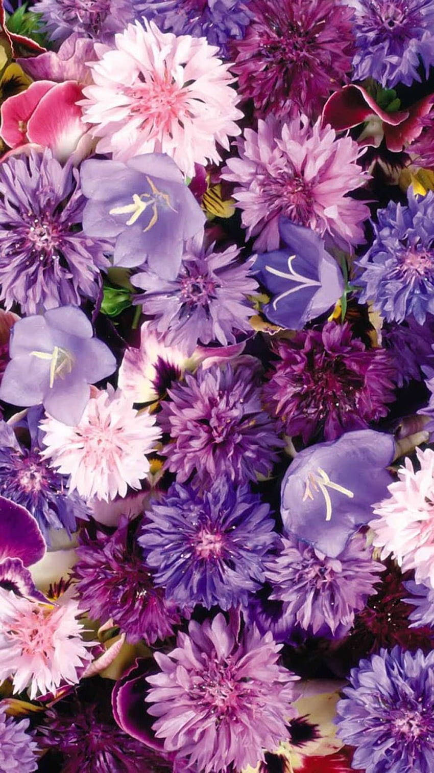 Purple Flowers Aesthetic wallpaper  Purple flowers wallpaper Purple  glitter wallpaper Flower aesthetic