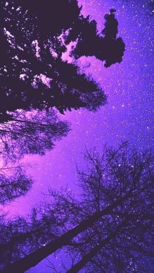 Aesthetic Purple Pictures 520 X 924 Picture