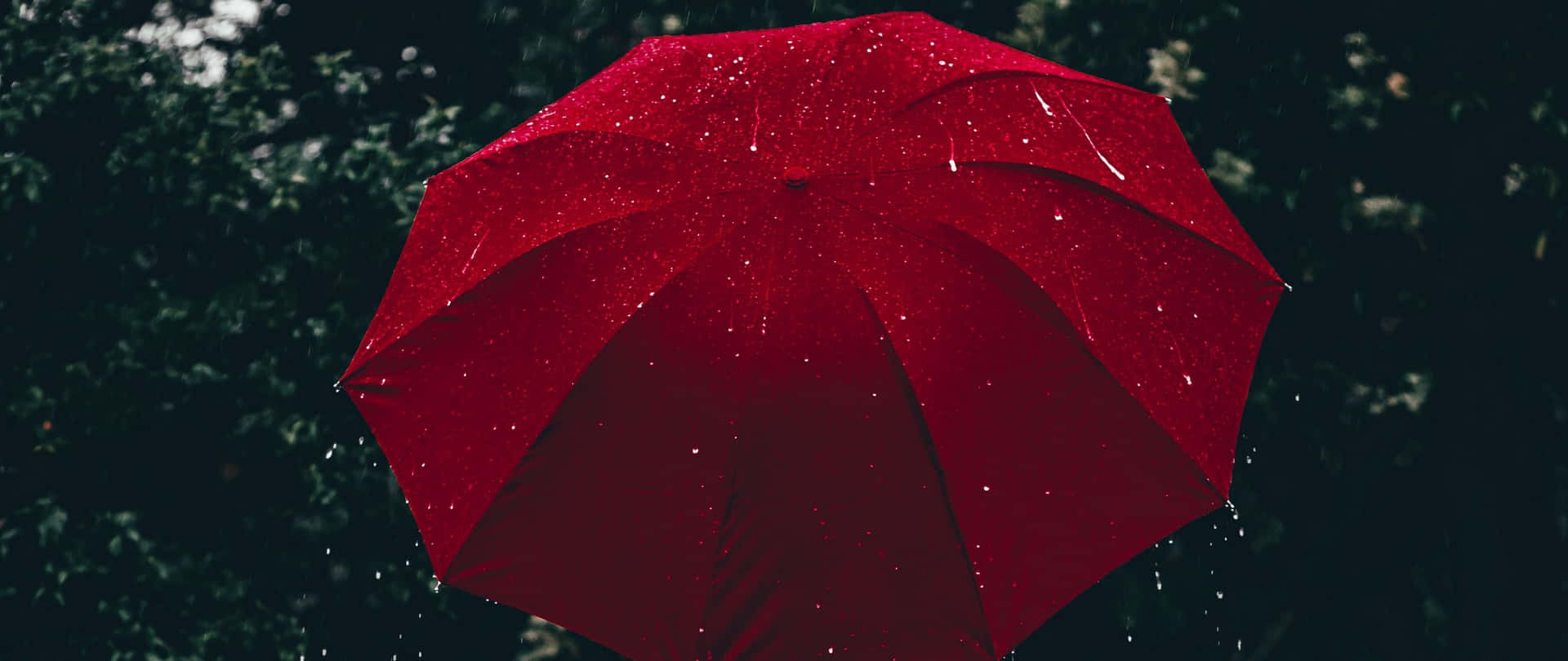 Aesthetic Red Umbrella In The Rain Wallpaper