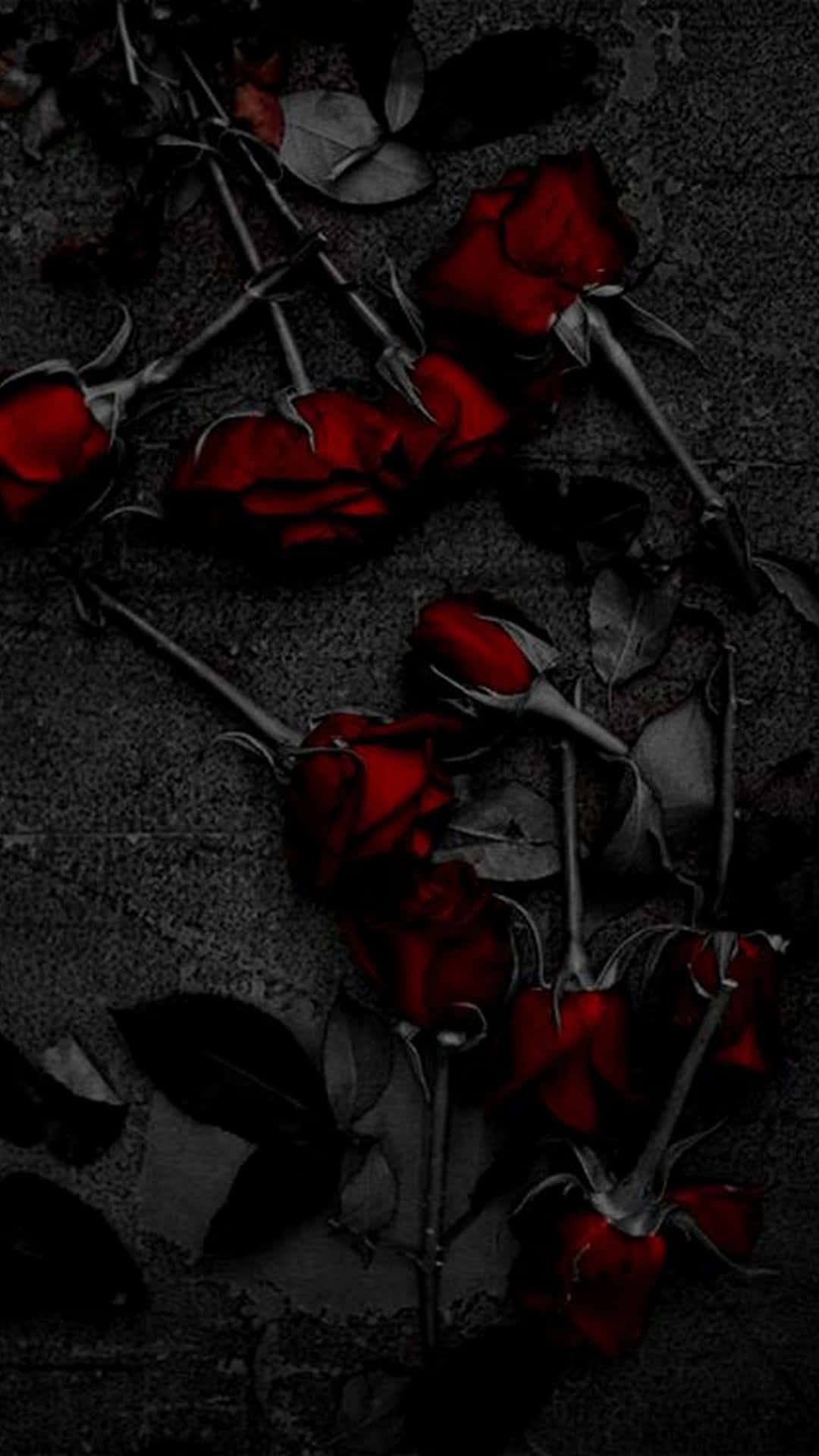 Black And Red Roses Aesthetic Red Background