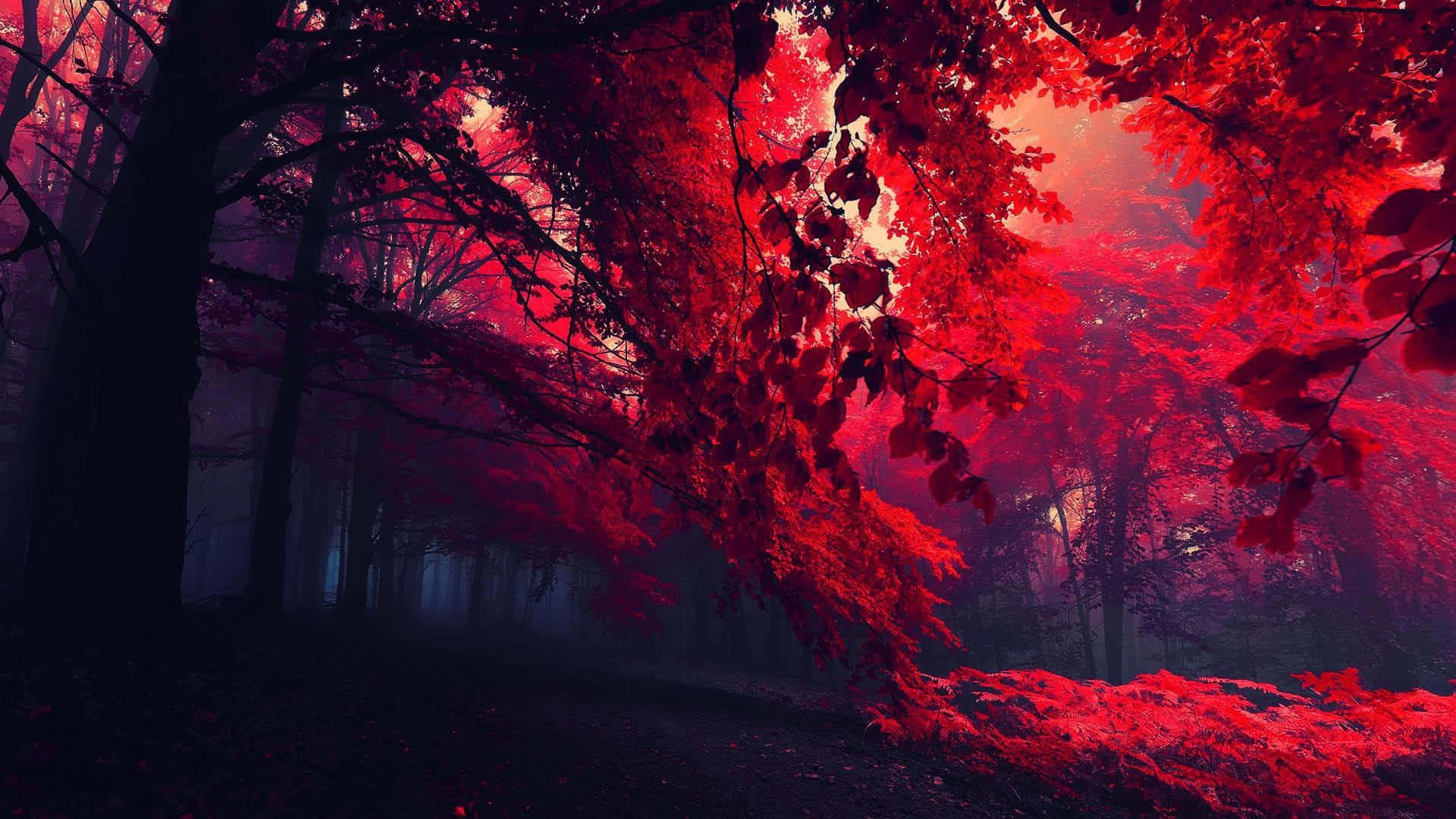 Magical Red Forest Aesthetic Red Background
